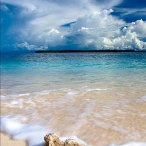 Meet your Posher, Sylvia